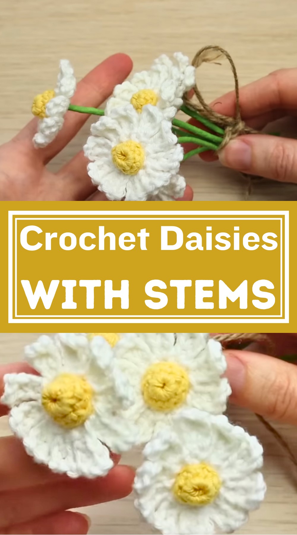 Crochet Daisies With Stems