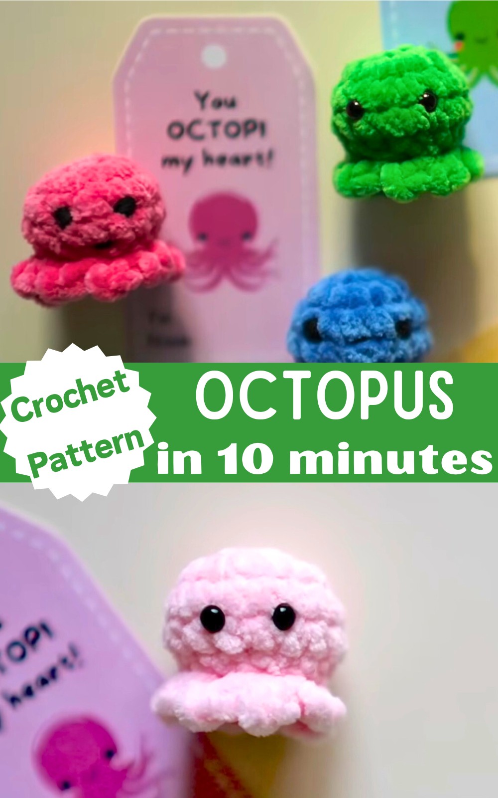 Octopus in 10 minutes