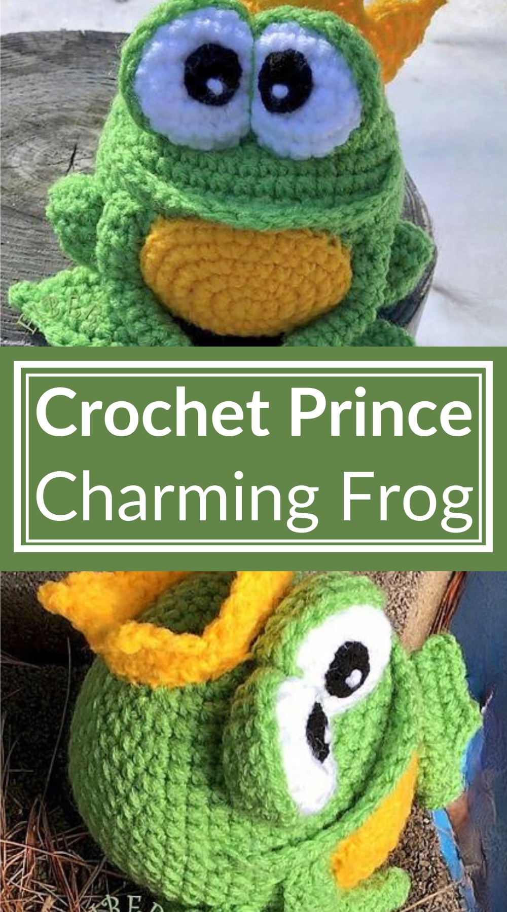 Prince Charming Frog