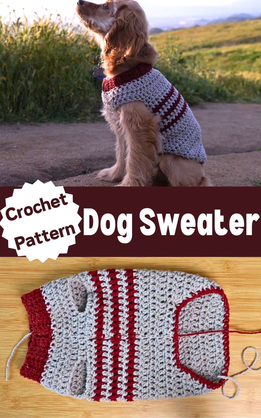 Crochet Dog Sweater