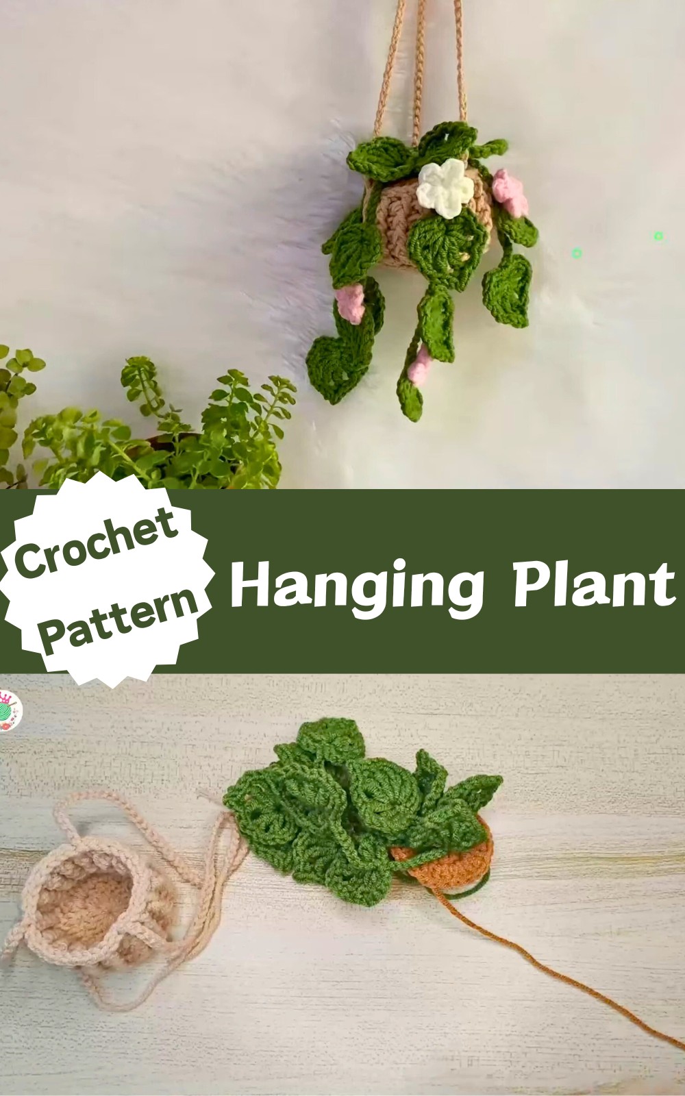 Crochet Hanging Plant