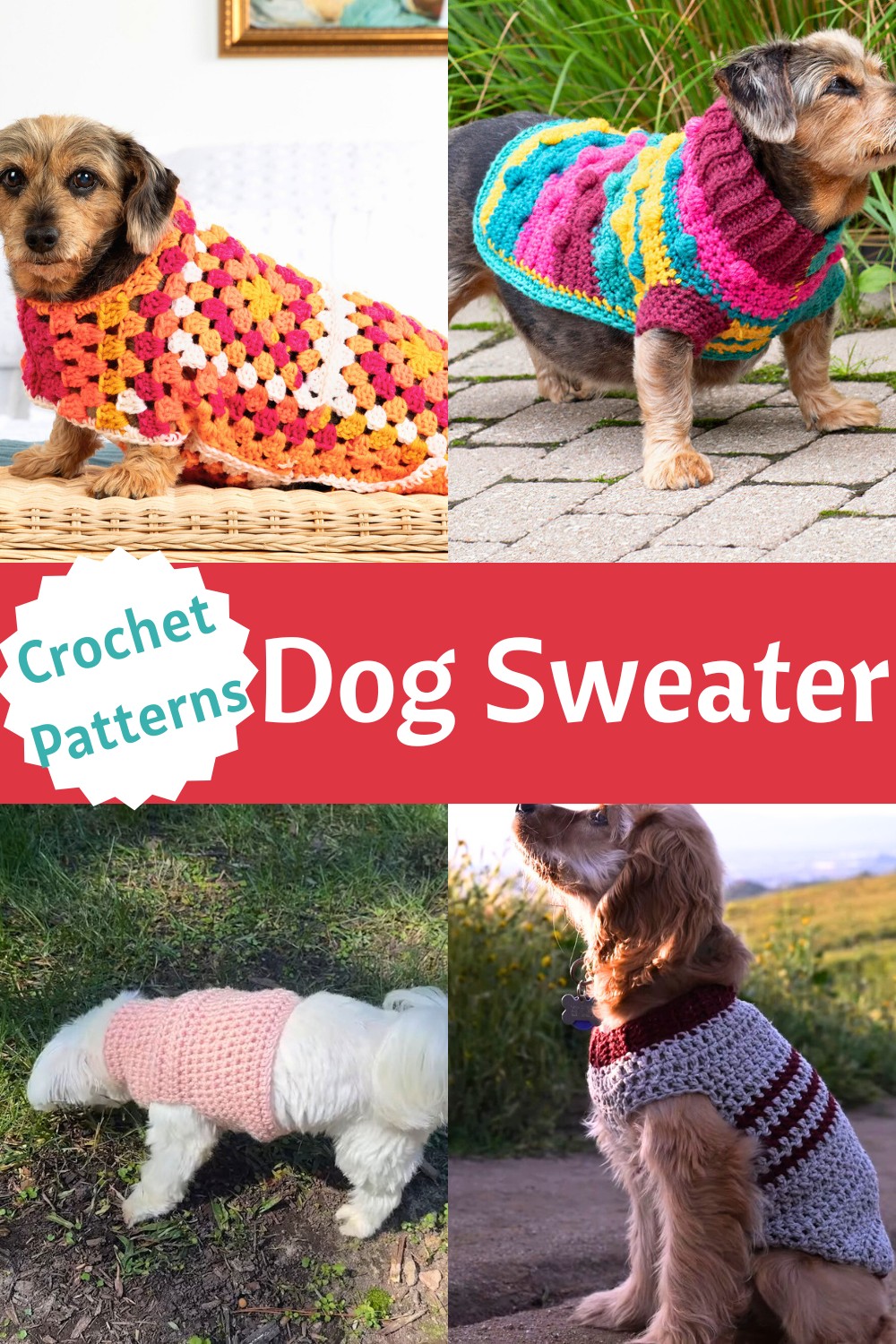 Dog Sweater