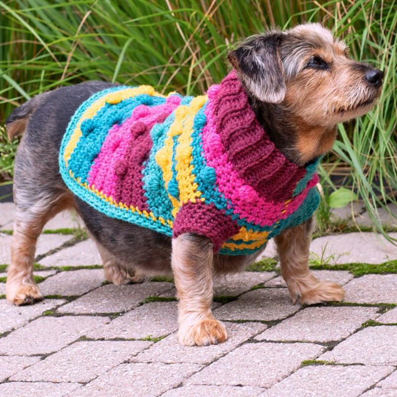 Dog Sweater