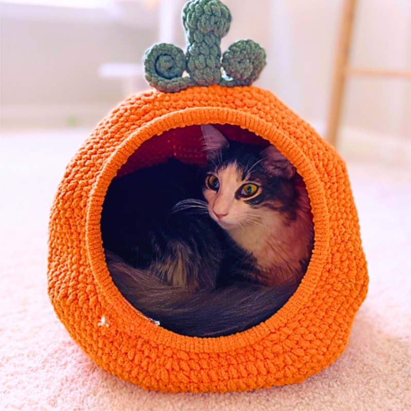 Pet Bed