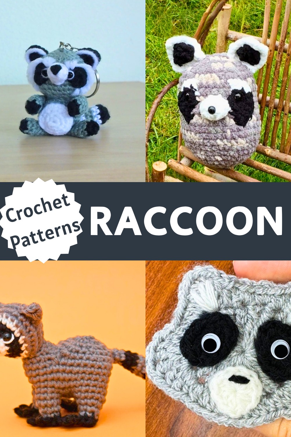 Raccoon