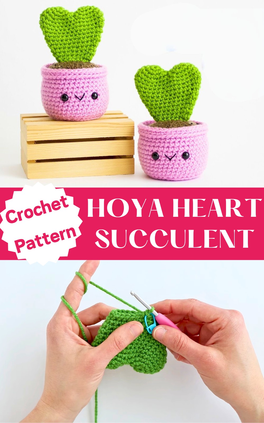 Easy Hoya Heart Succulent