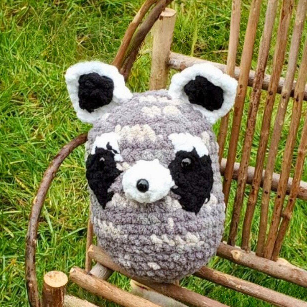 Raccoon